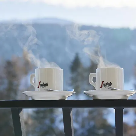 Everest Apartament *