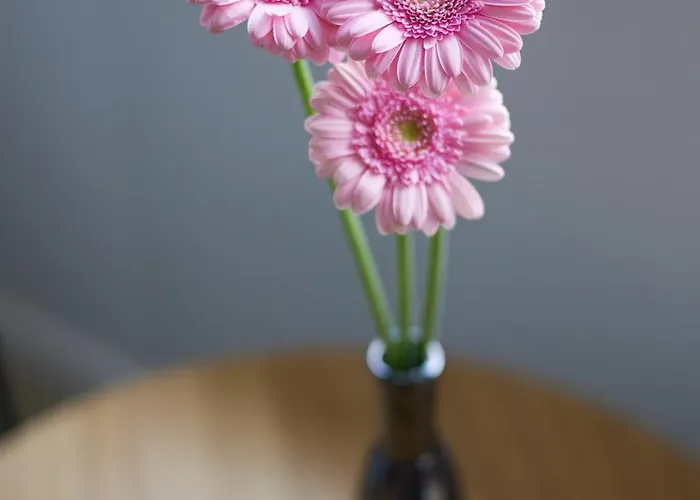 Everest Апартаменты *